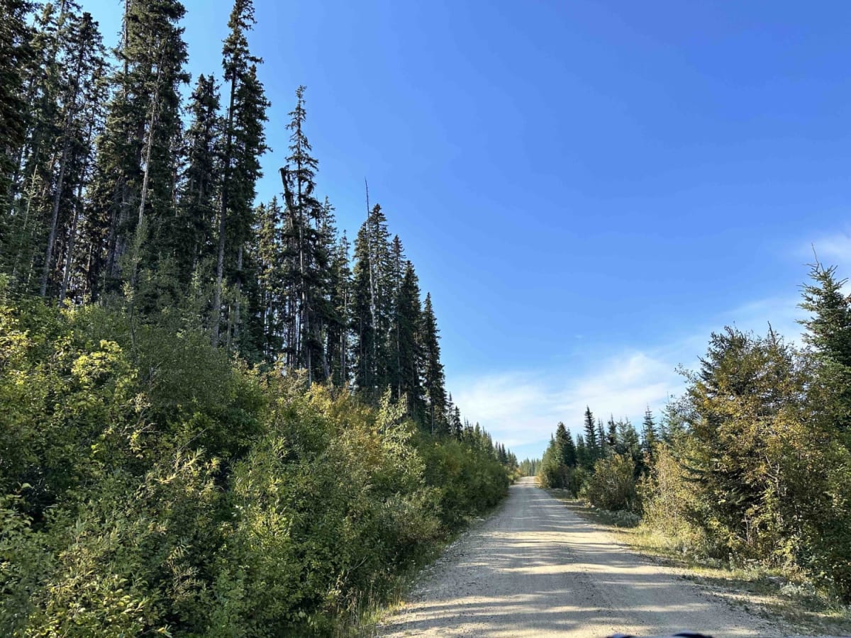 Jamieson Forest Service Road photo 3