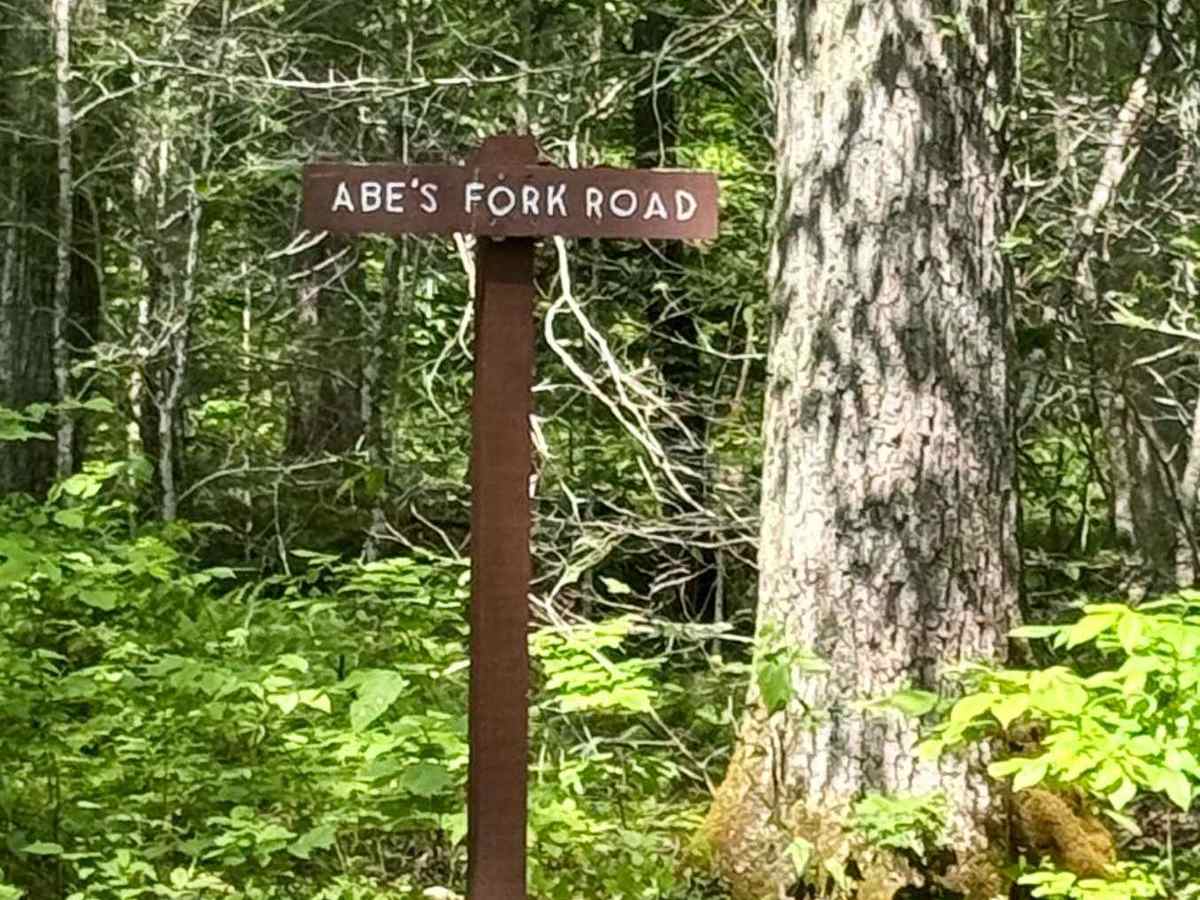 Abes Fork Road trail photo