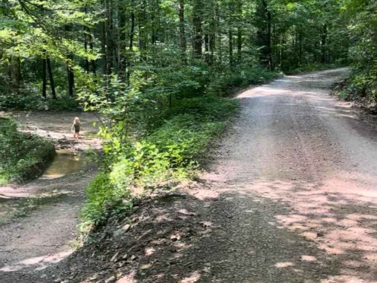 Clear Creek (FSR 185) photo 5