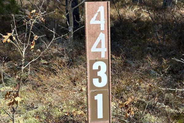 FS 4431