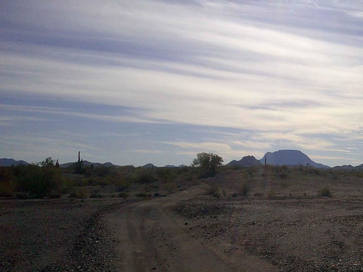 Cactus Road photo 5