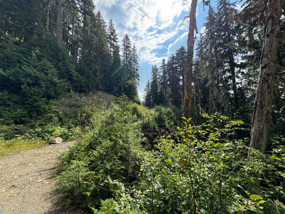 Helena Ridge photo 4
