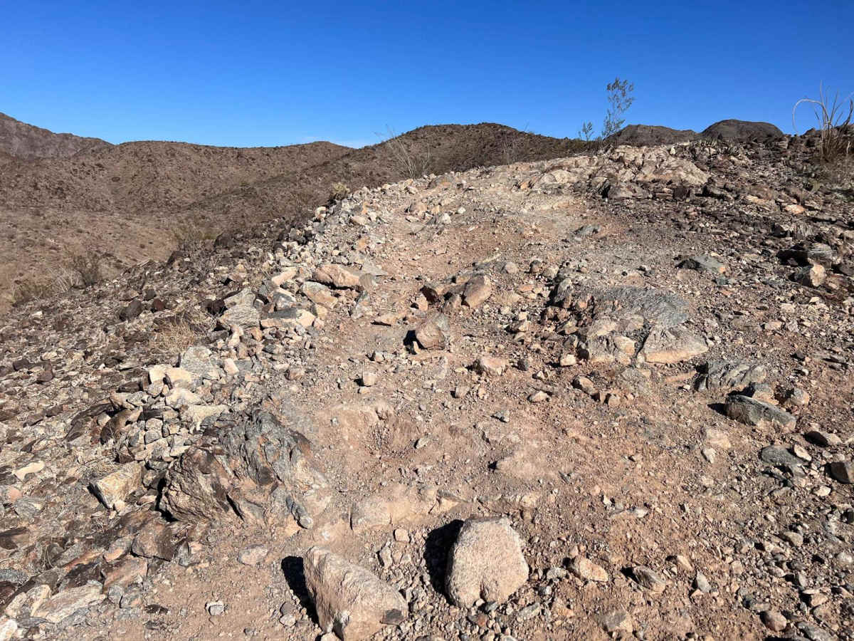 The Saguaro that Watches Over Yuma photo 6