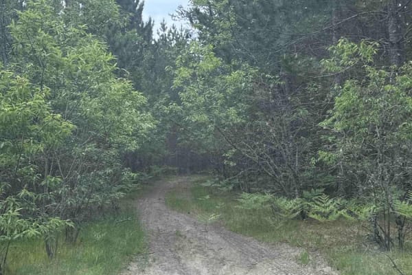 Horse Shoe trail