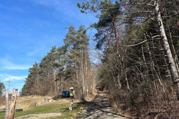 Van Husen Road
