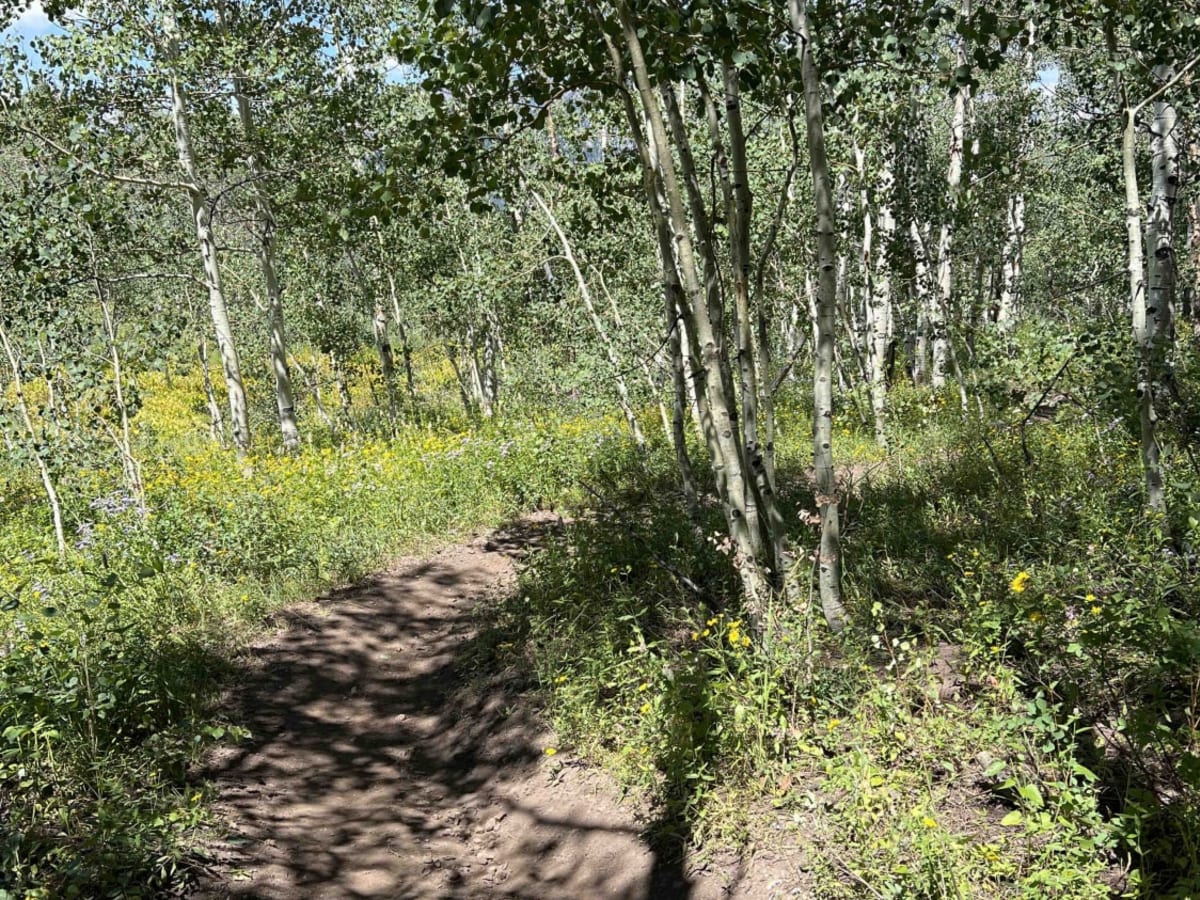 Willow Hollow (2159) photo 4
