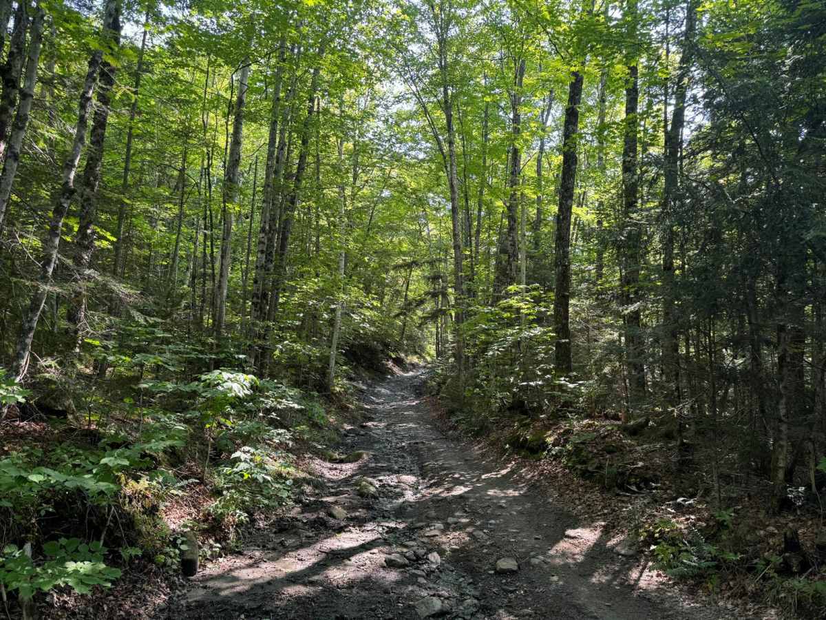 Explore Vermont Brookfield to Wells River photo 4