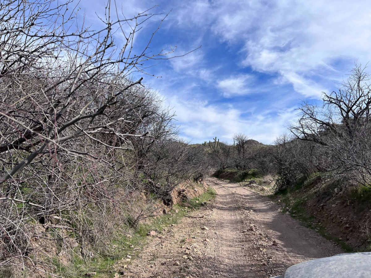 Hellgate Wilderness Trail photo 4