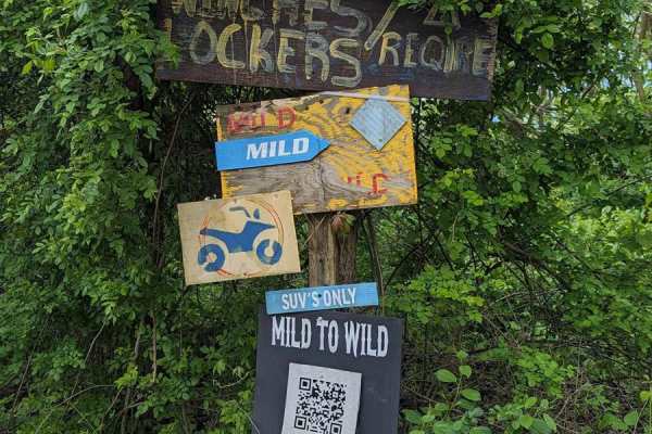 Mild to Wild