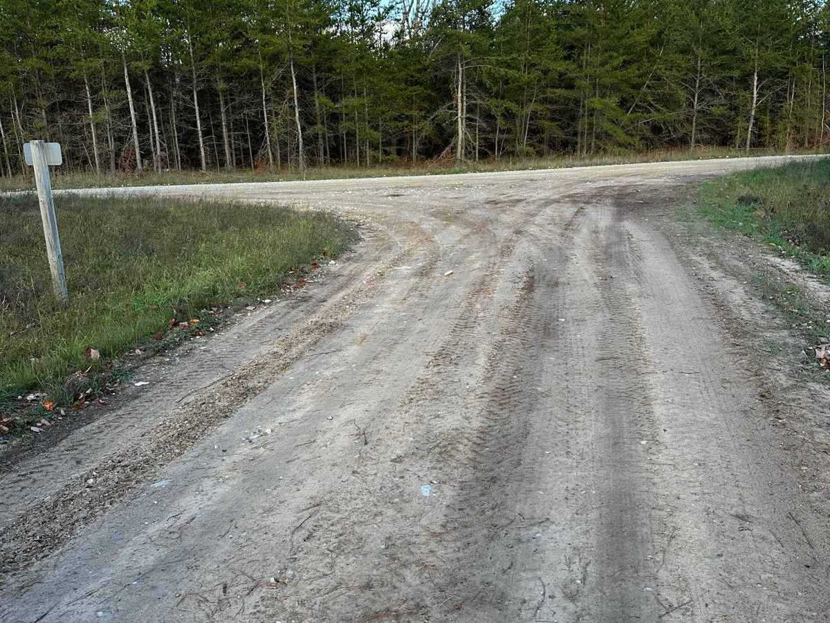 Bog Lake - FS 2686 photo 2