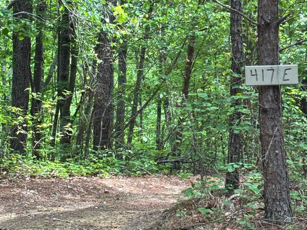417E trail photo