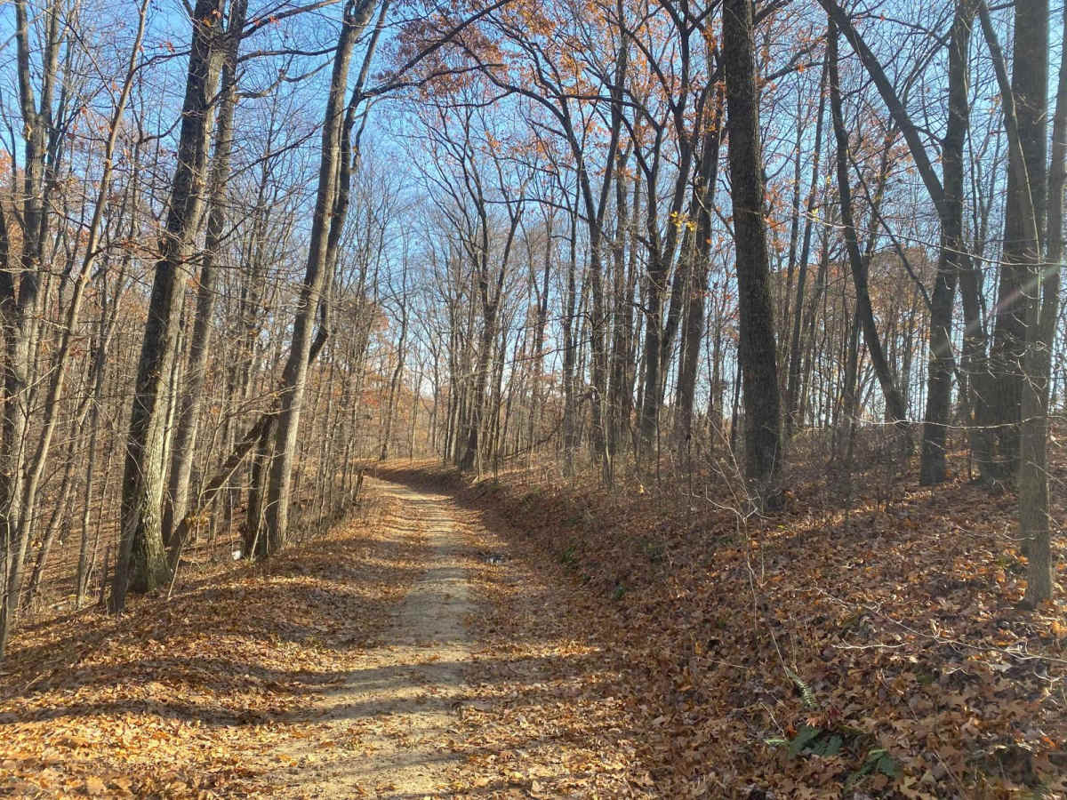 Pleasant Ridge Road - The Tar Hollow Trails photo 3