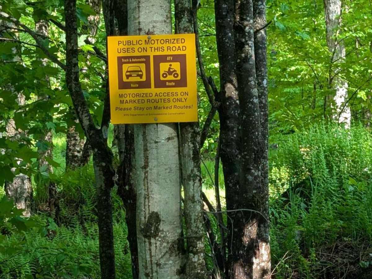 Long Pond Road trail photo