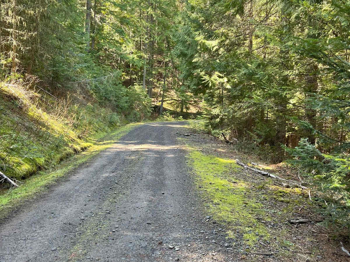 Bing Cherry Trail photo 6