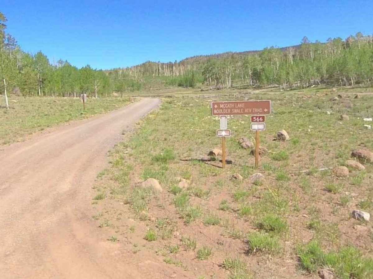 Sweetwater-NFS30494 photo 3