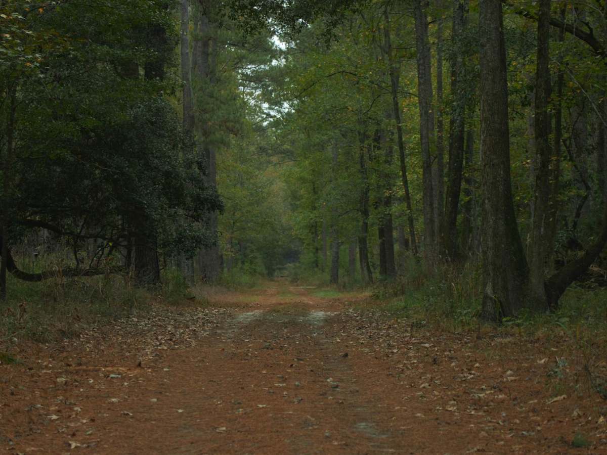 Donnelly WMA PT.3 photo 5