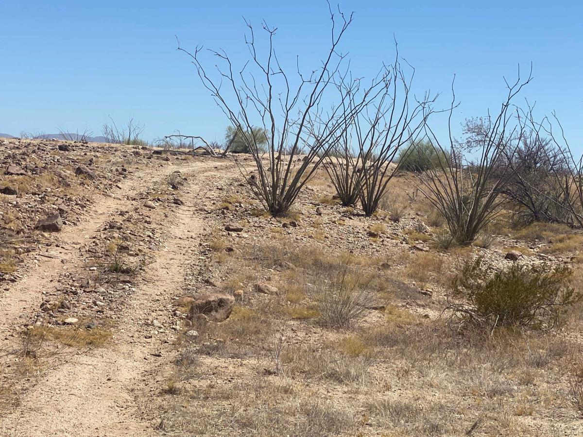North of San Felipe photo 3