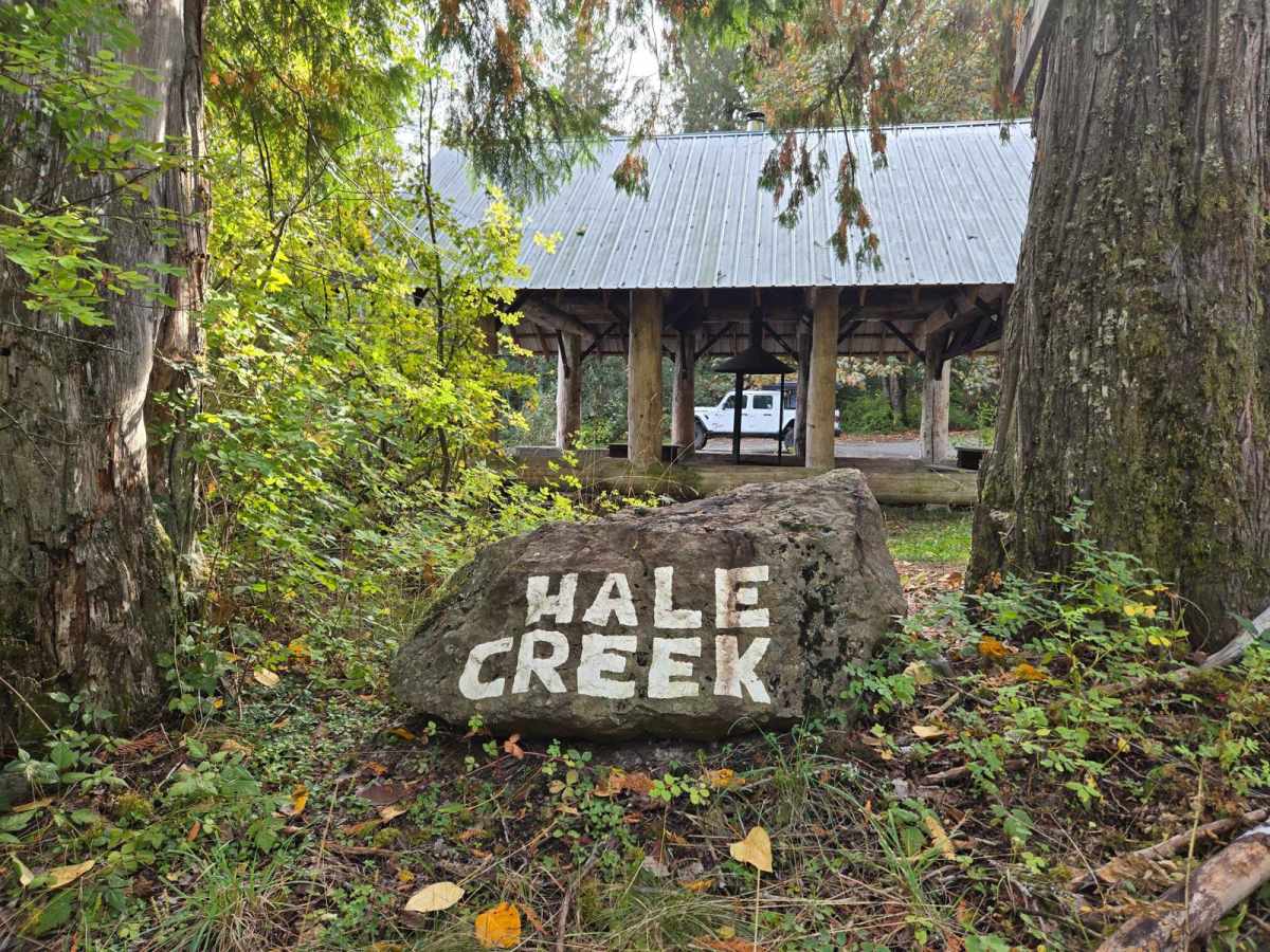 Hale Creek (Easy Way) trail photo