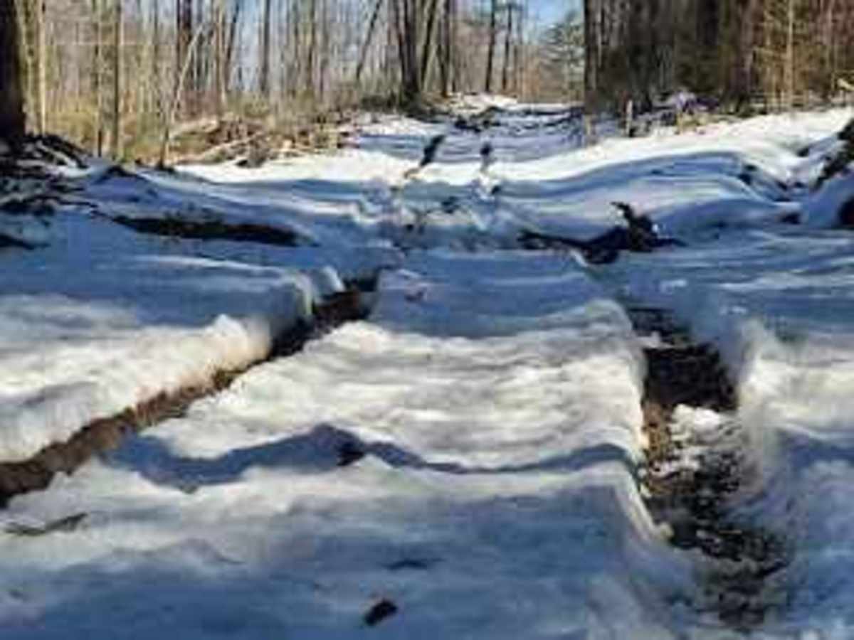 Lynch Hill Loop photo 4