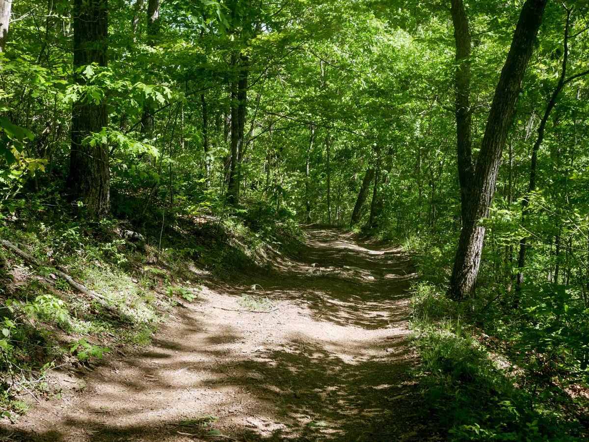 Trail 22 photo 2