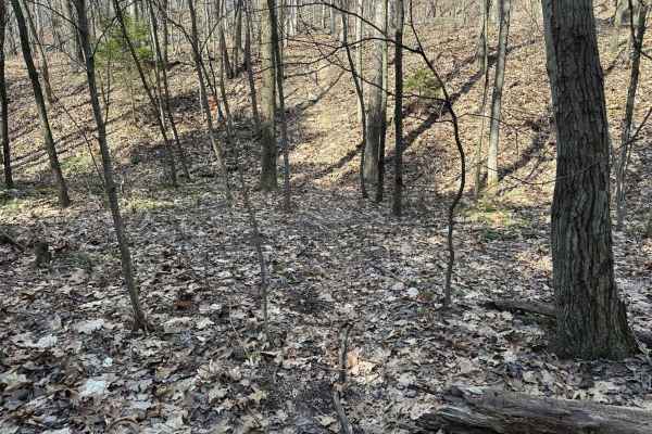 St. Keirns Single Track 4 - East