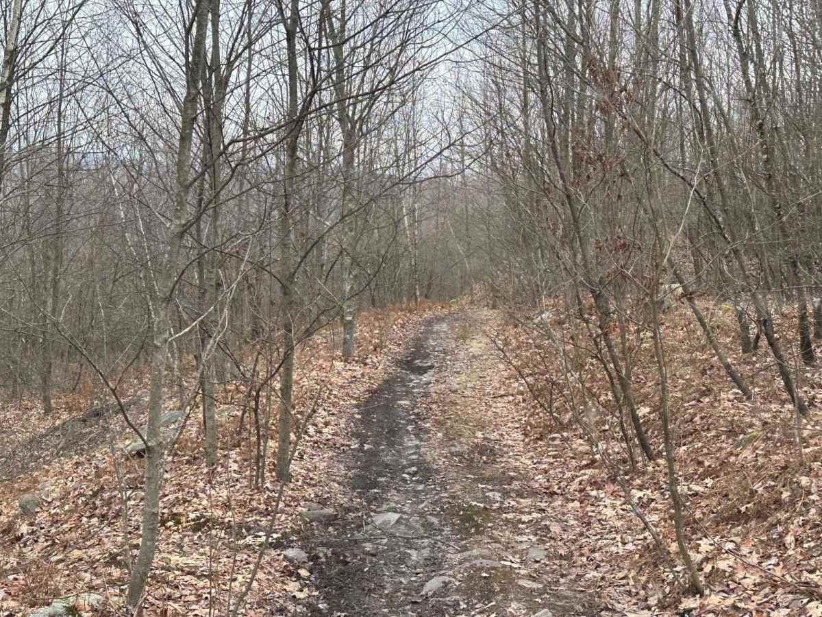 Locust Gap 74 trail photo
