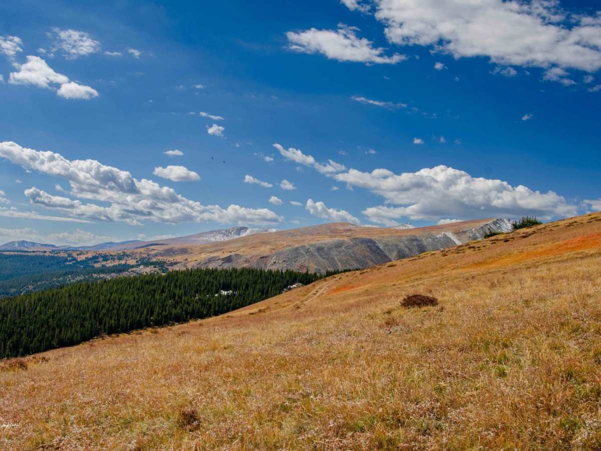 Loveland Road - FS 192/450 photo 6