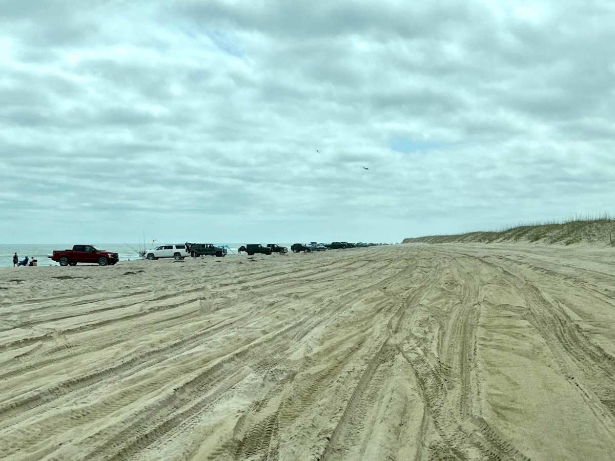 Fort Fisher State Recreation Area 4x4 Beach trail photo
