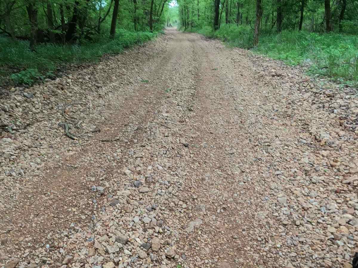 Hackworth Hollow Trail photo 5