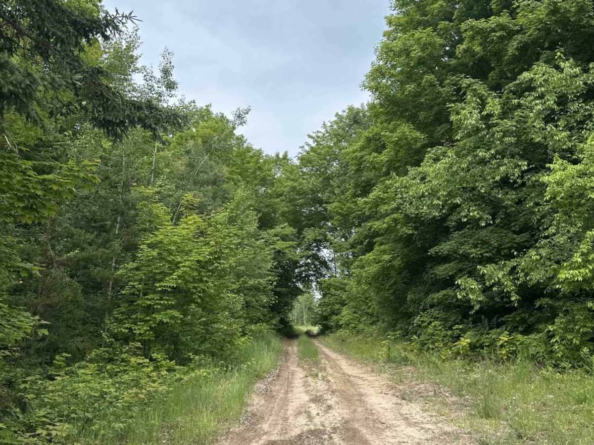 Jackson trail photo