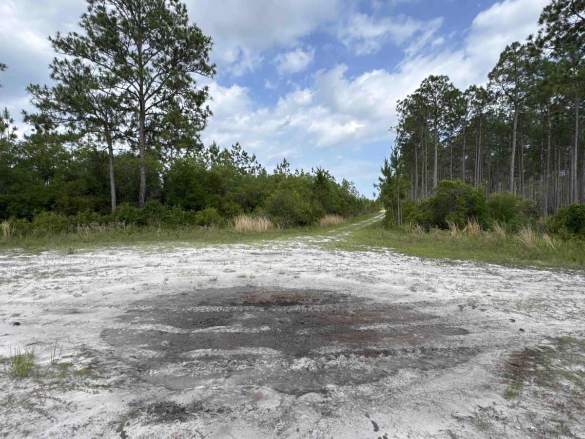 East Double Bridge Road photo 4