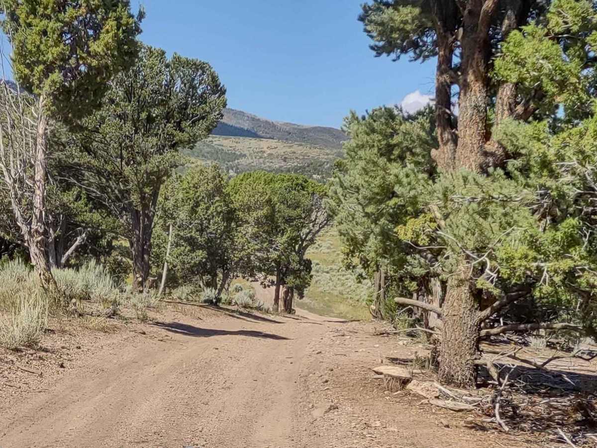 Clear Creek/Mill Creek - FS #40583, PST15A photo 2