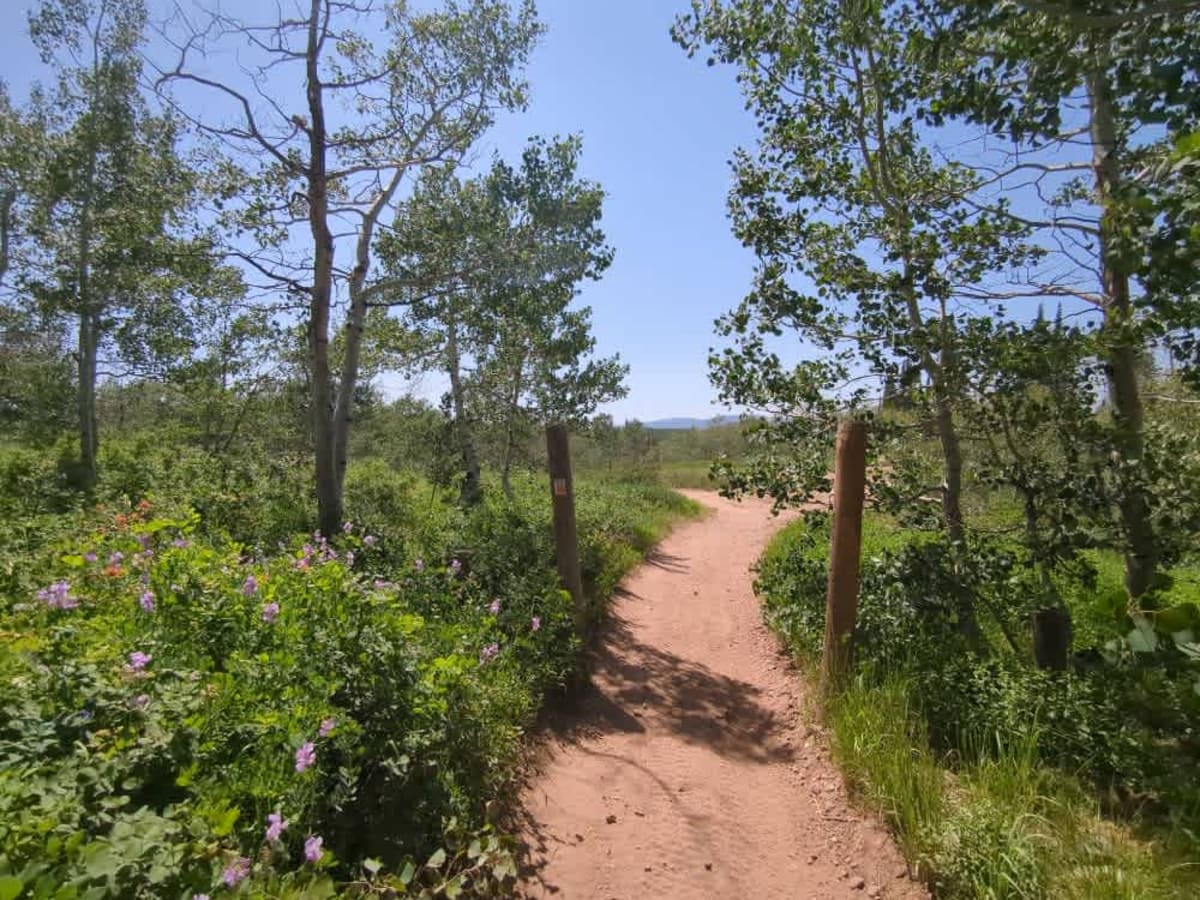 Dry Bread Hollow ATV trail photo