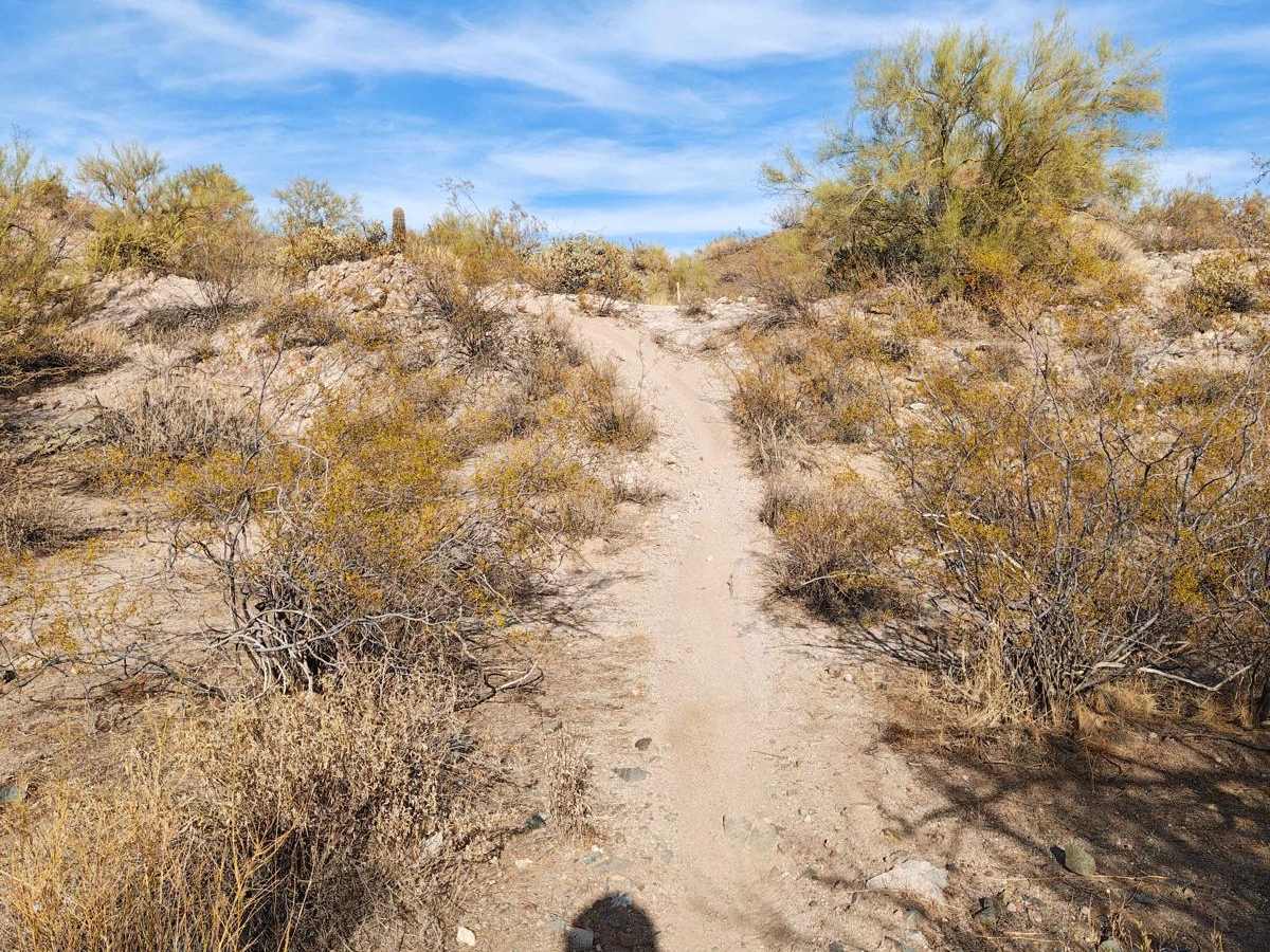 Wash Connector - Single Track trail photo