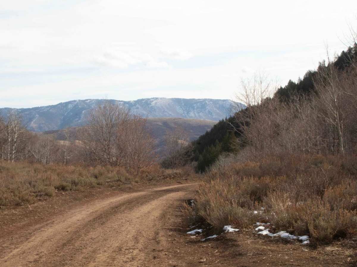 Three Mile Canyon trail photo