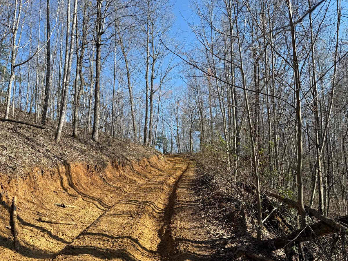 Trail 2 photo 5