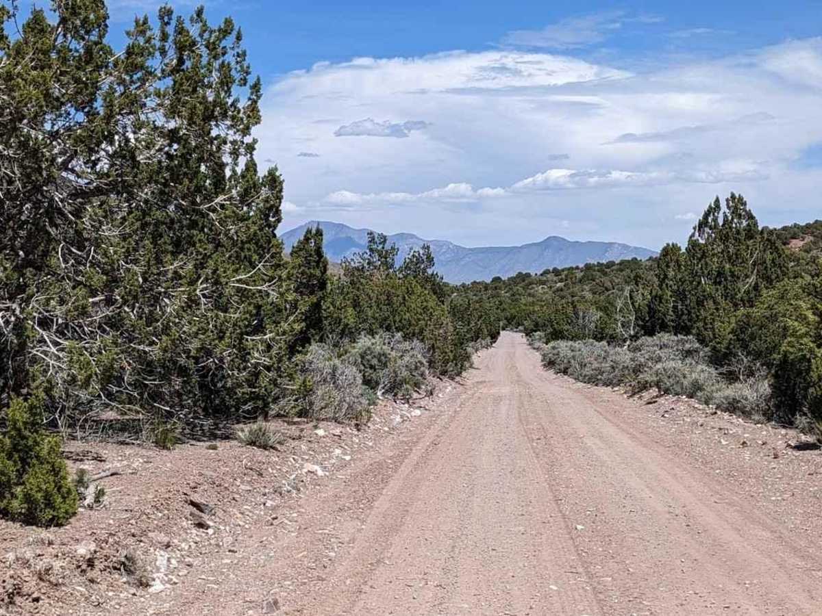 Revenue Basin Road photo 3