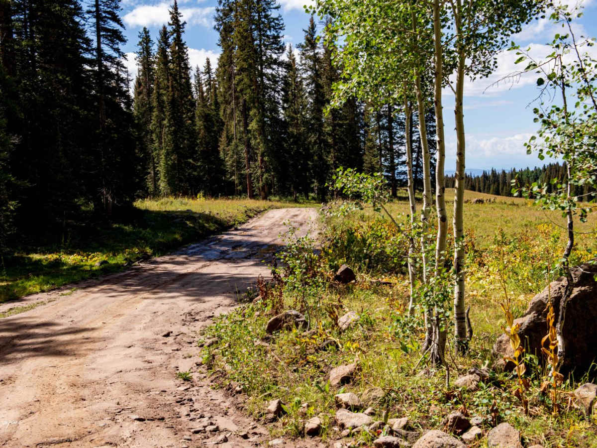 Leroux Creek Road - FS 128 photo 4