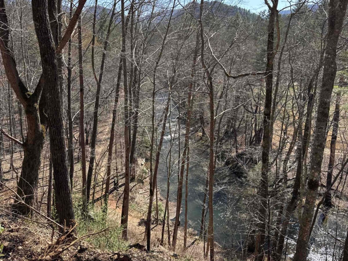 Corbin Creek - FR 698 photo 4