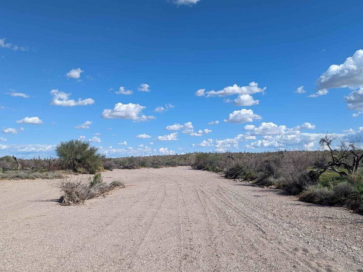 Jackrabbit Wash trail photo