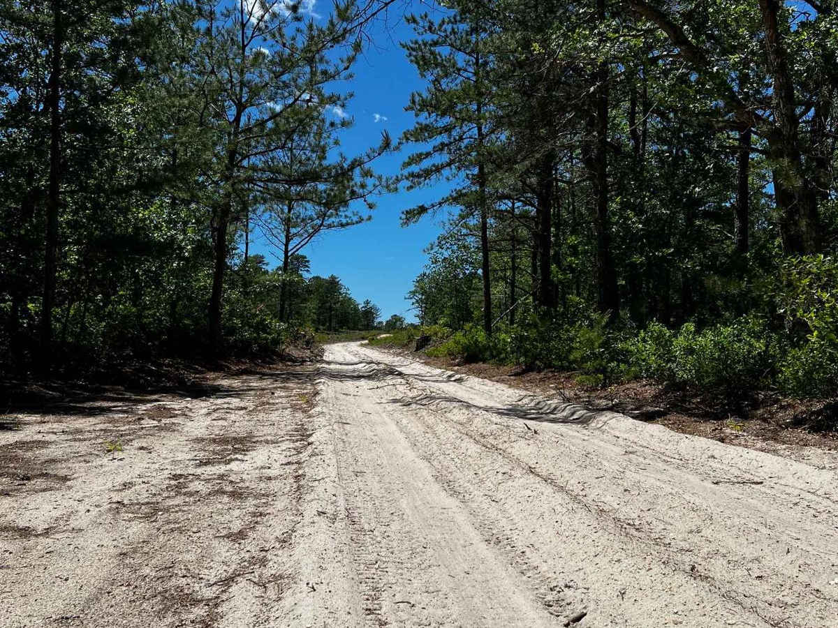 Forge Road to Wharton State Forest photo 4