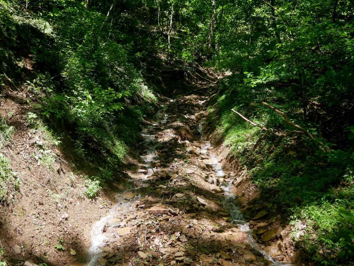 CC67 trail photo