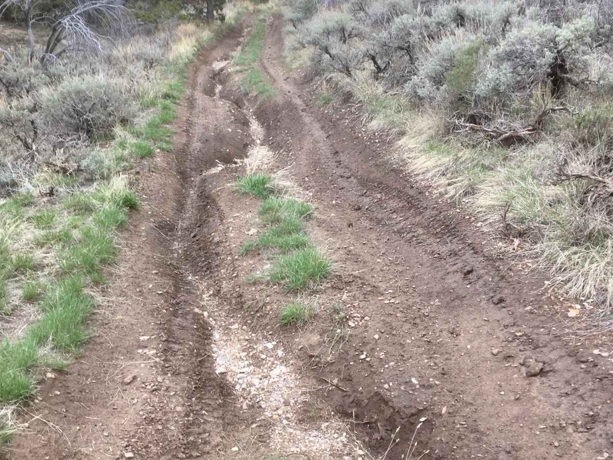 Ice Plant ATV Loop photo 2