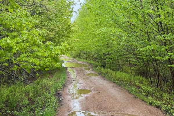 Granite Lane Trail