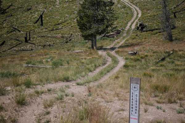 Upper Harden Creek ATV
