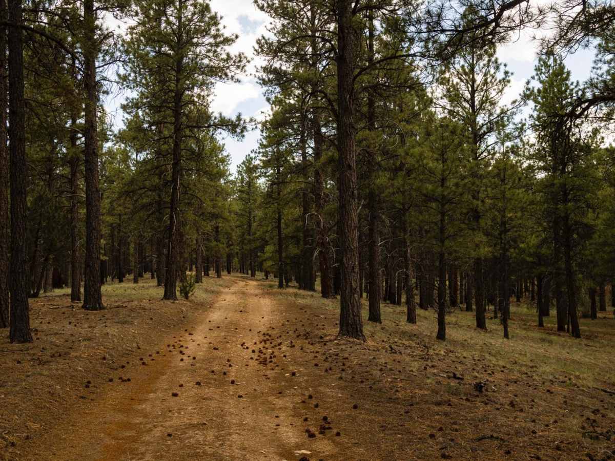Elk Spring photo 4