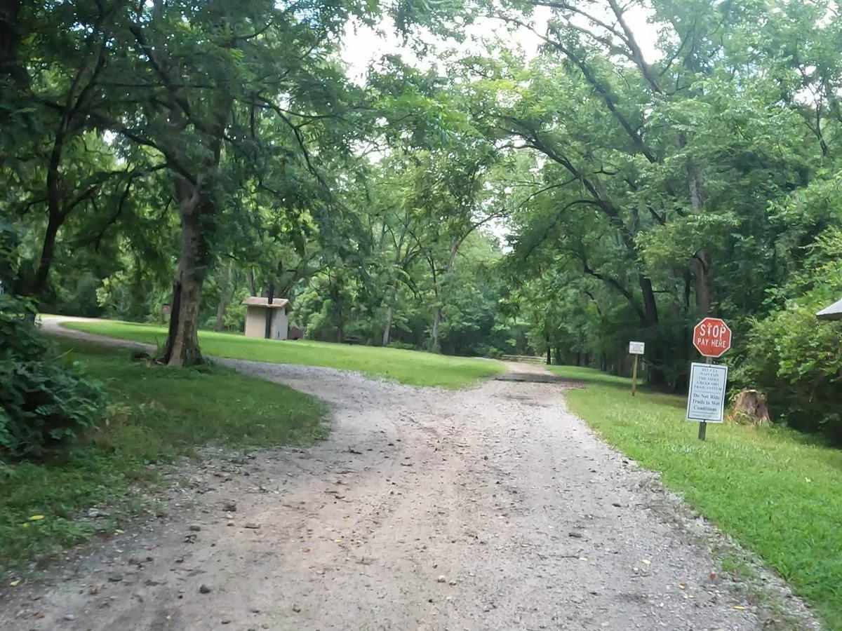 Penfield Hunt Camp Road photo 6