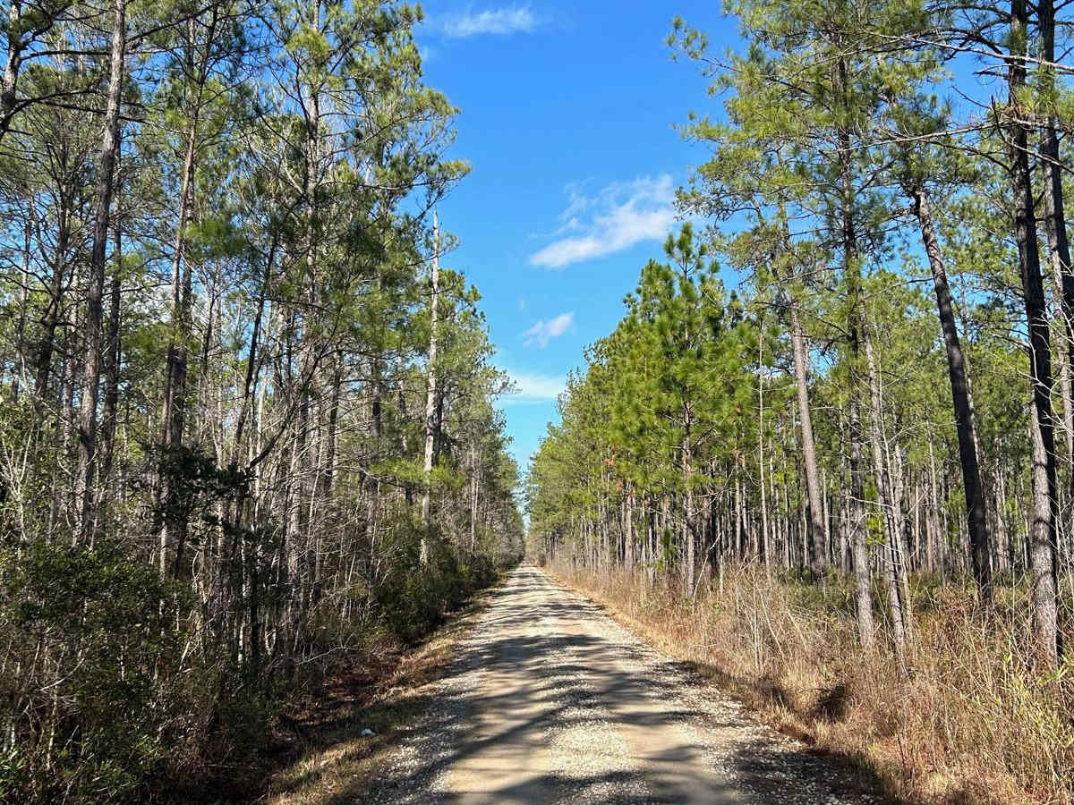 Hampton Road - FSR170 photo 5