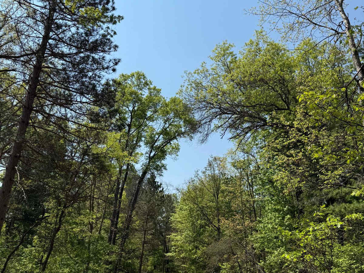 Sandy Berm Trail photo 3