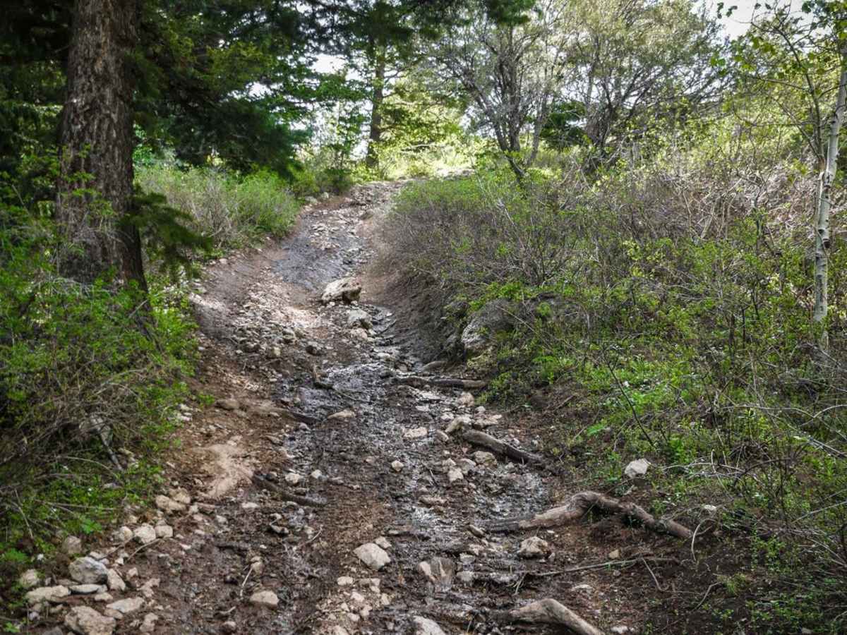 Clifton Basin to Weston Peak ATV 7433 (Part 2) trail photo